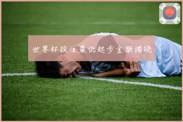 世界杯投注最低起步金额揭晓