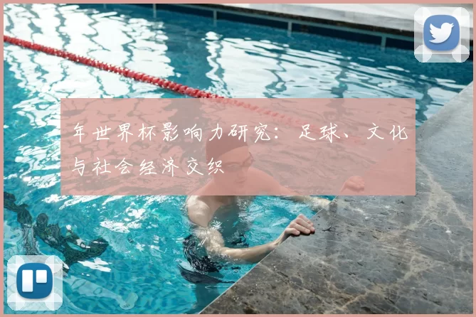 年世界杯影响力研究：足球、文化与社会经济交织