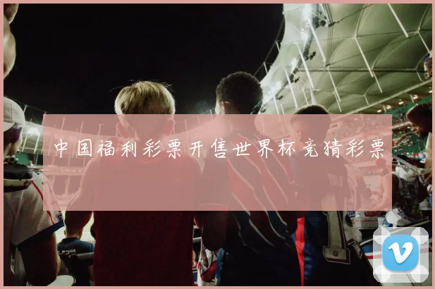 中国福利彩票开售世界杯竞猜彩票