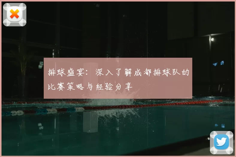 排球盛宴:深入了解成都排球队的比赛策略与经验分享