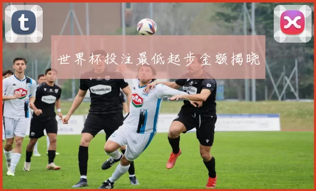 世界杯投注最低起步金额揭晓