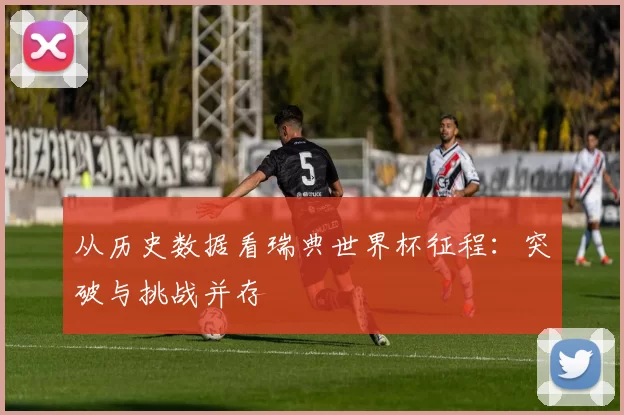 从历史数据看瑞典世界杯征程：突破与挑战并存