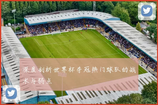 深度剖析世界杯夺冠热门球队的战术与弱点