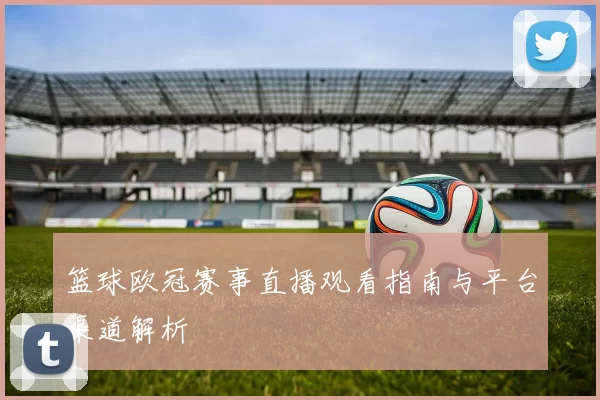 篮球欧冠赛事直播观看指南与平台渠道解析