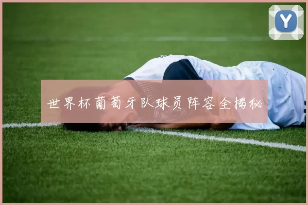 世界杯葡萄牙队球员阵容全揭秘