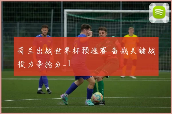 荷兰出战世界杯预选赛 备战关键战役力争抢分_1