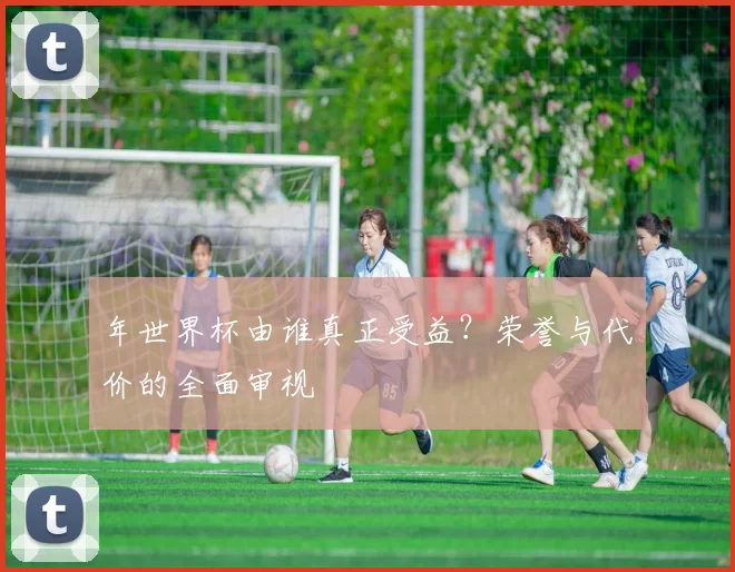 年世界杯由谁真正受益？荣誉与代价的全面审视