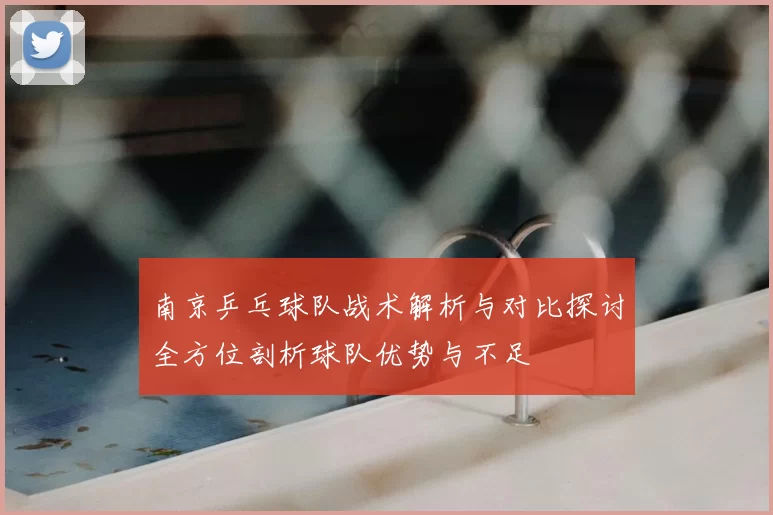 南京乒乓球队战术解析与对比探讨全方位剖析球队优势与不足