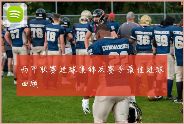 西甲联赛进球集锦及赛季最佳进球回顾