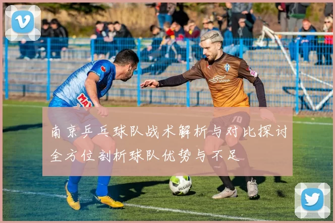 南京乒乓球队战术解析与对比探讨全方位剖析球队优势与不足