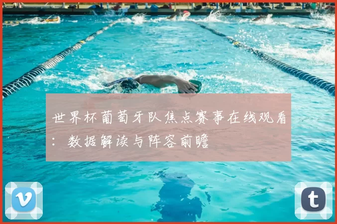 世界杯葡萄牙队焦点赛事在线观看:数据解读与阵容前瞻