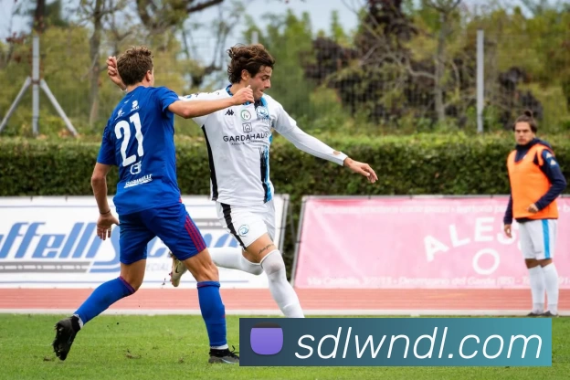 九游体育平台生态图